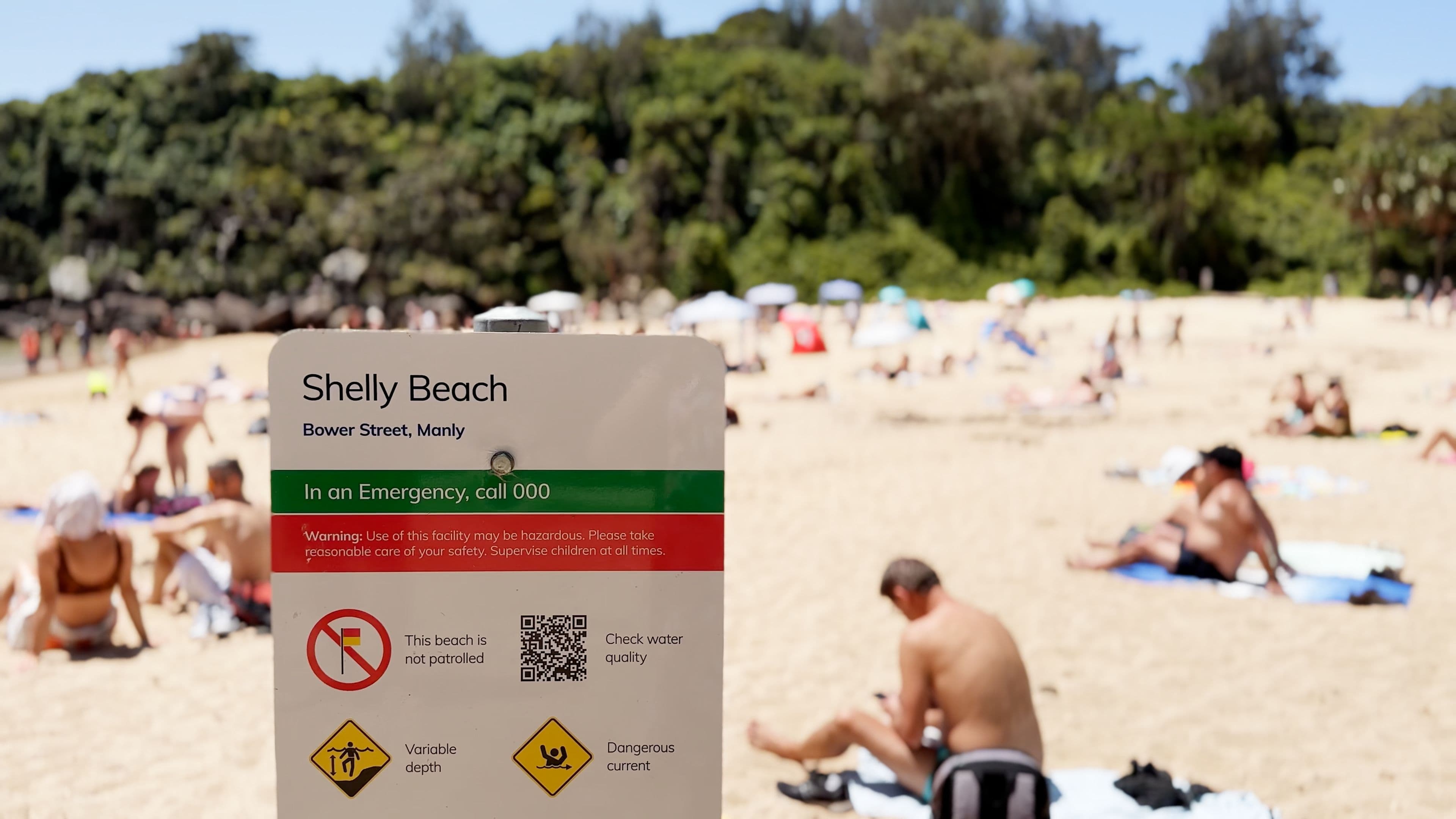 Shelly Beach - November 2022